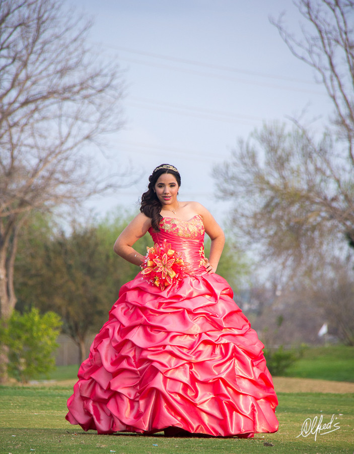 Alfred&#39;s PhotoLive - 0183