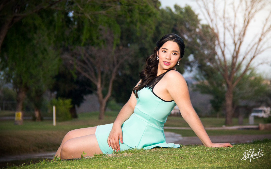 Alfred&#39;s PhotoLive - 0300