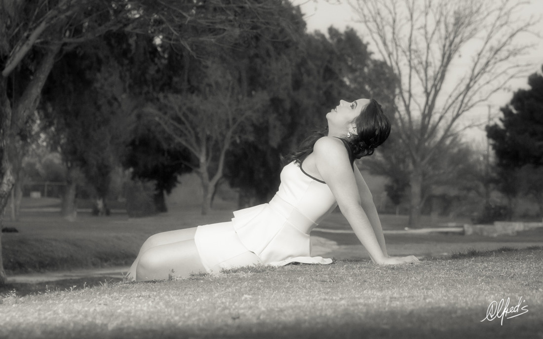 Alfred&#39;s PhotoLive - 0301-2