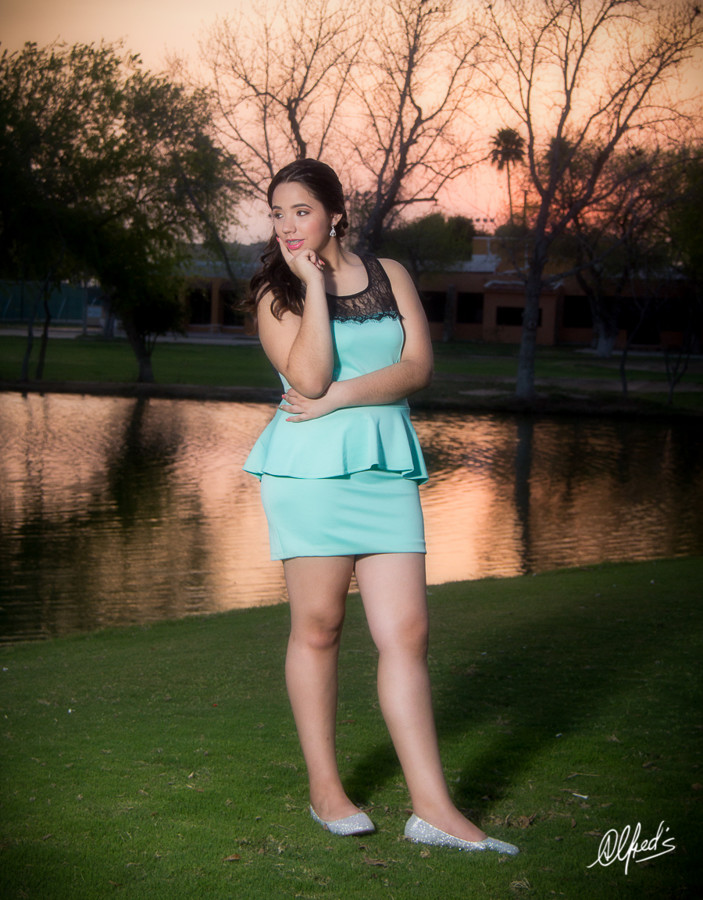 Alfred&#39;s PhotoLive - 0317