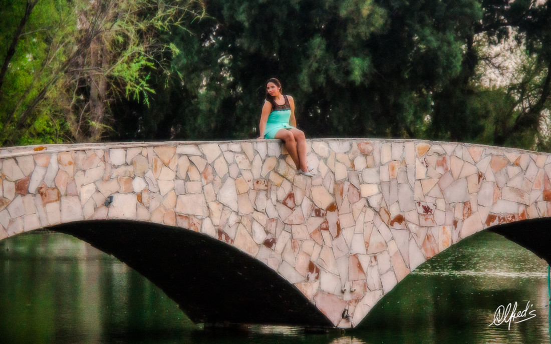 Alfred&#39;s PhotoLive - 0338