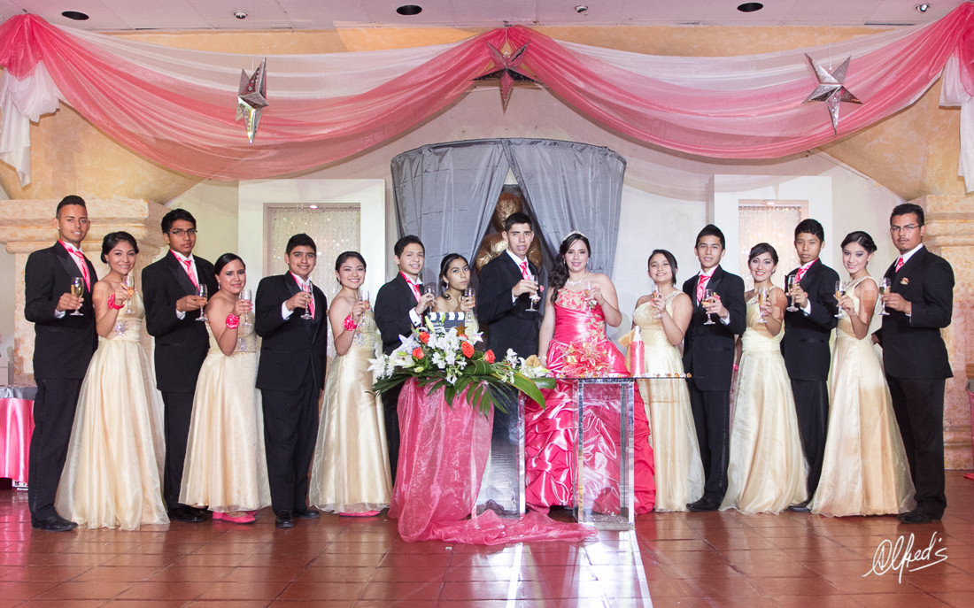 Alfred&#39;s PhotoLive - 4413