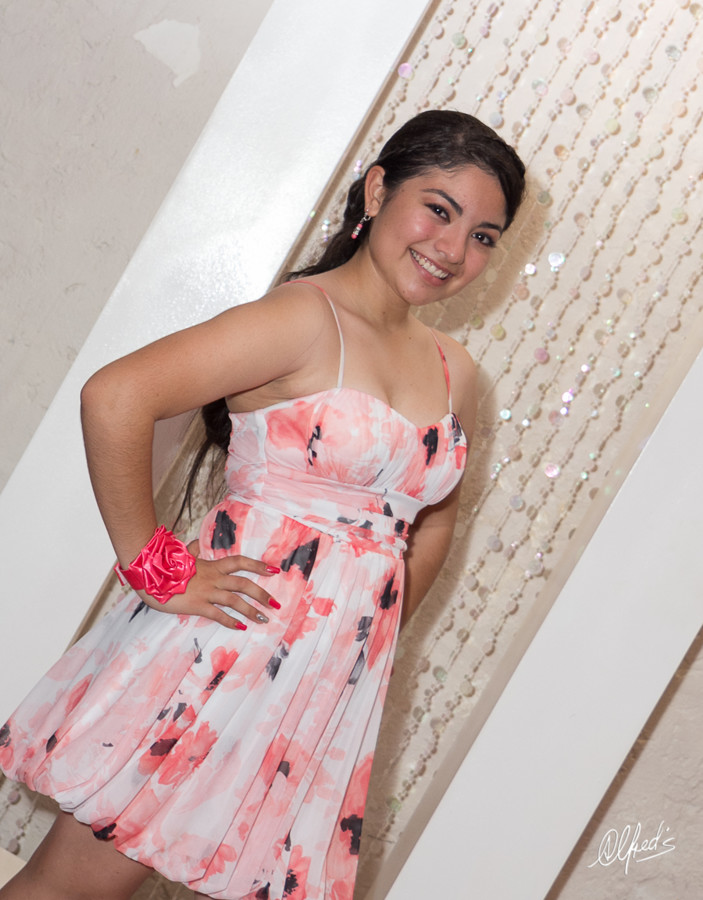 Alfred&#39;s PhotoLive - 4713