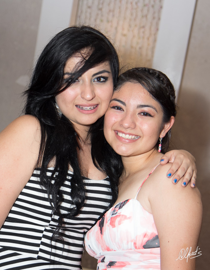 Alfred&#39;s PhotoLive - 4726