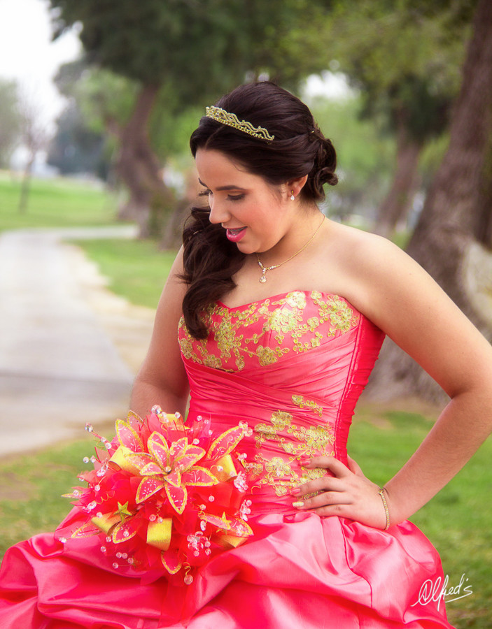 Alfred&#39;s PhotoLive - 9975