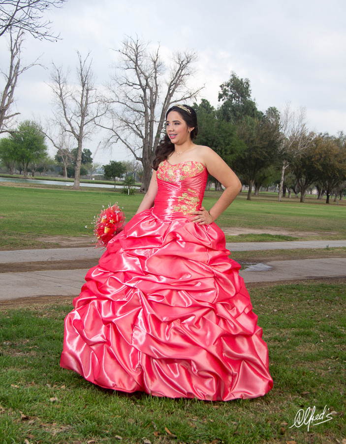 Alfred&#39;s PhotoLive - 9991