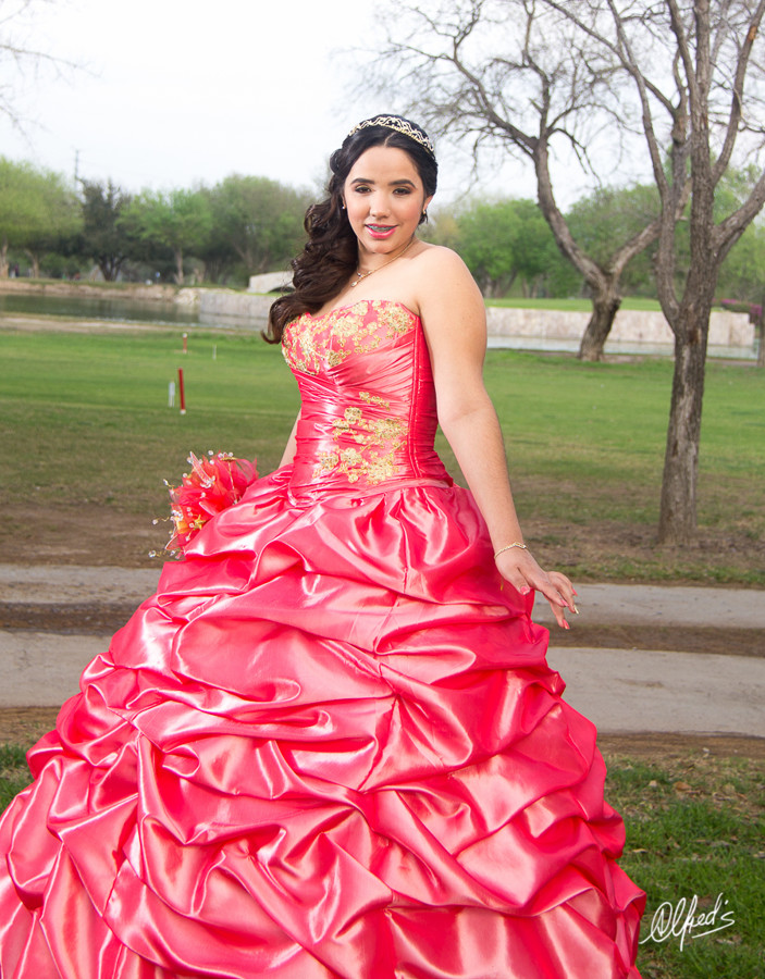 Alfred&#39;s PhotoLive - 9995