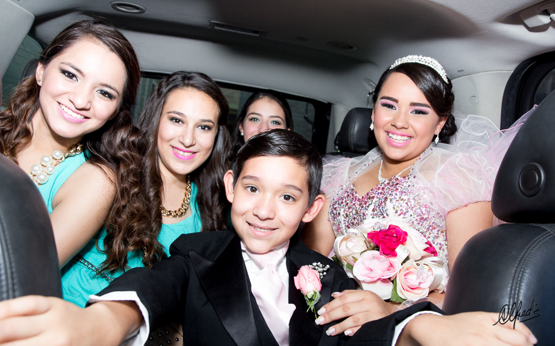 Alfred&#39;s PhotoLive - 8535