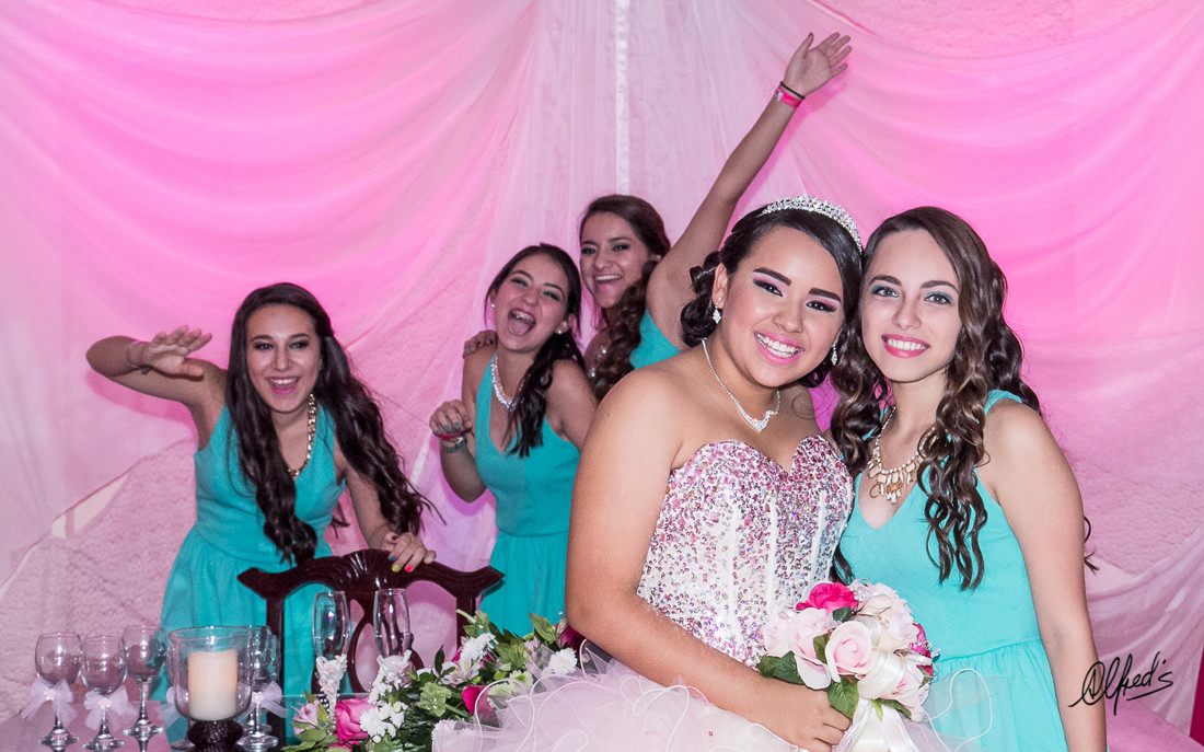 Alfred&#39;s PhotoLive - 8599