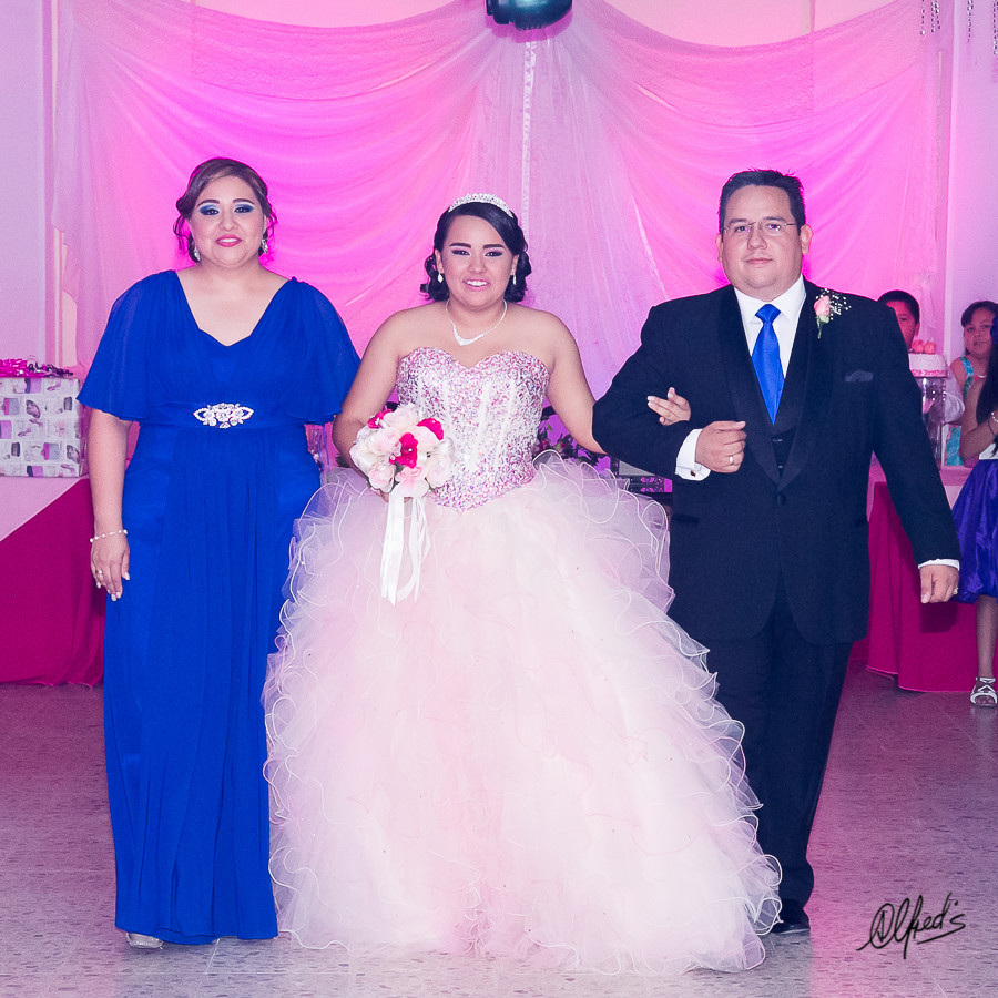 Alfred&#39;s PhotoLive - 8771