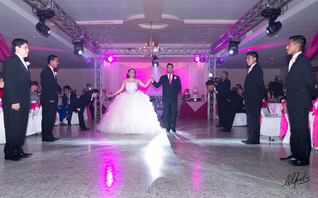 Alfred&#39;s PhotoLive - 8821