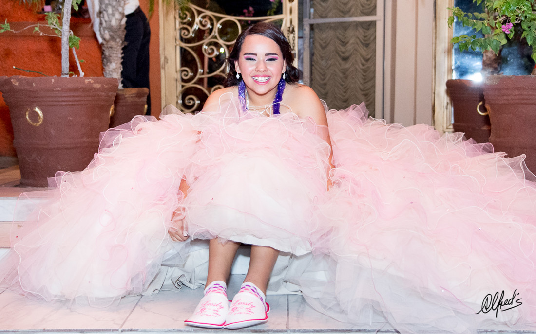 Alfred&#39;s PhotoLive - 9518