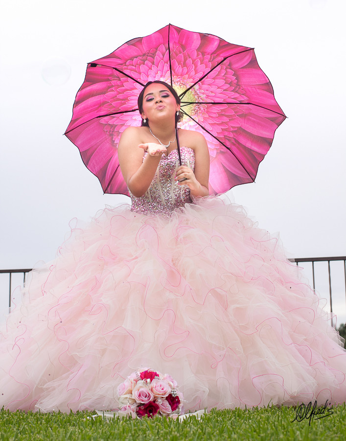 Alfred&#39;s PhotoLive -_