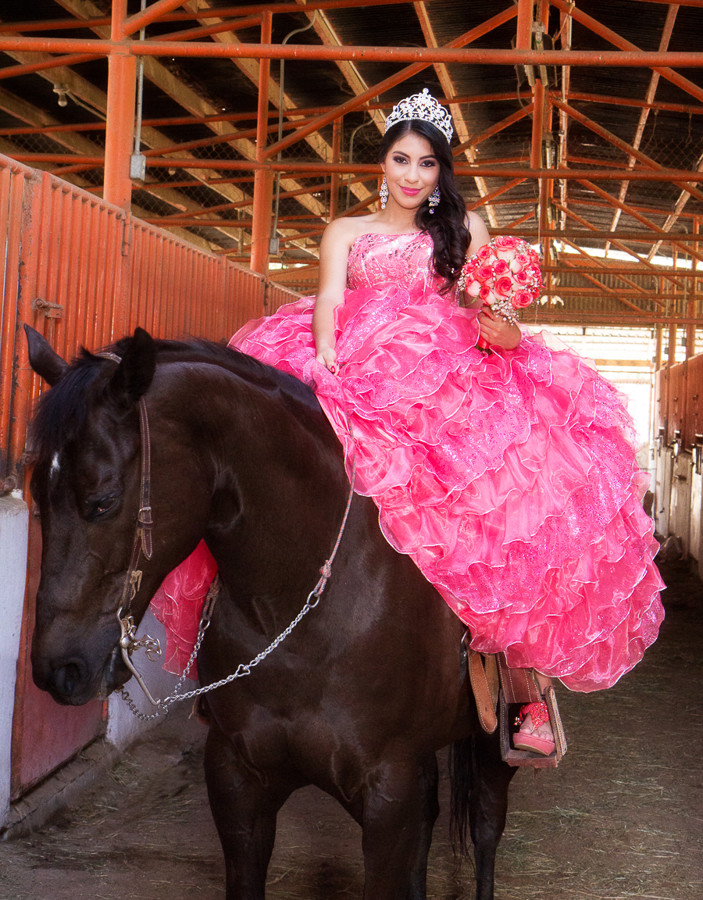 Alfred&#39;s PhotoLive - 6531