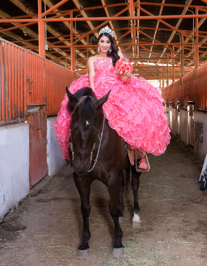 Alfred&#39;s PhotoLive - 6532