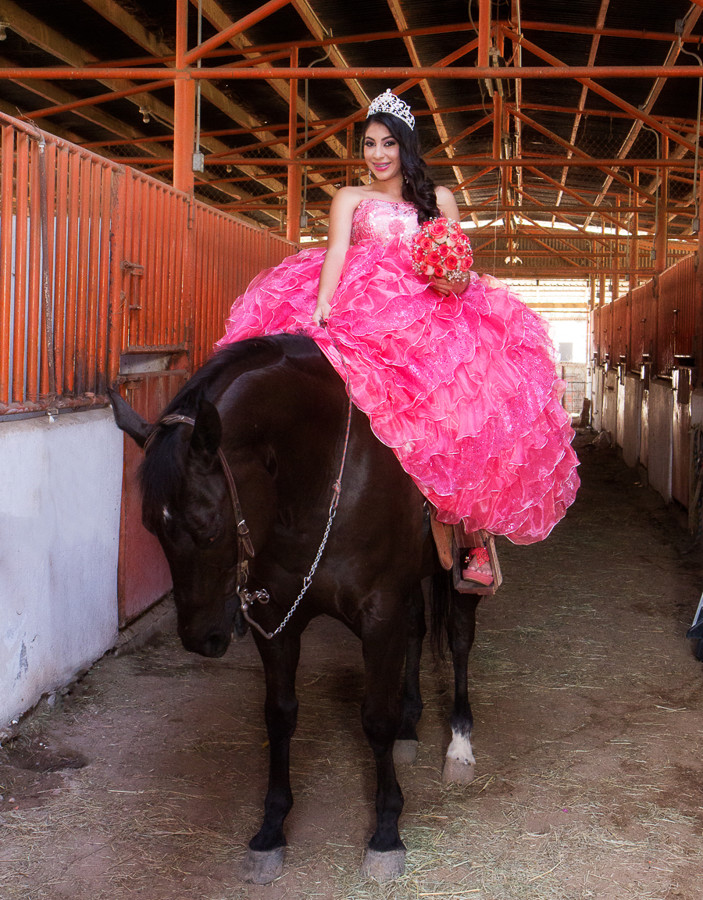 Alfred&#39;s PhotoLive - 6535