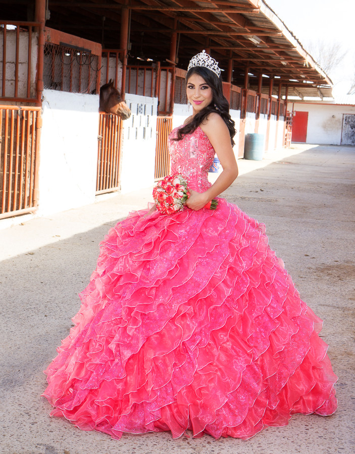 Alfred&#39;s PhotoLive - 6573