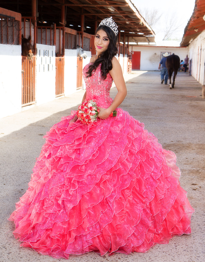 Alfred&#39;s PhotoLive - 6576