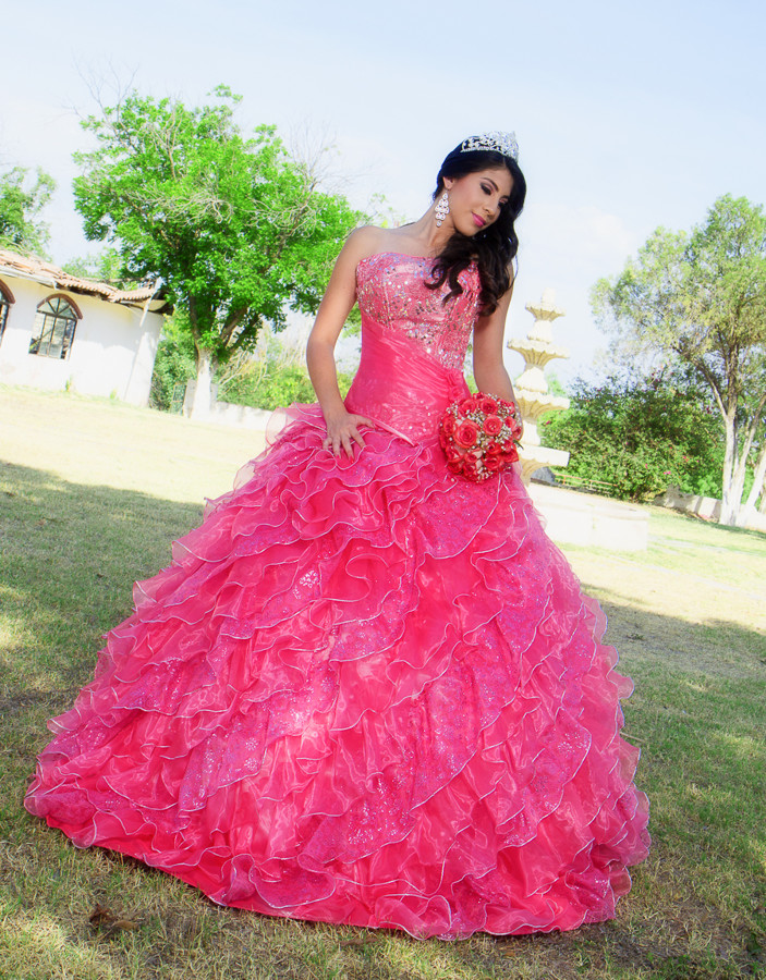 Alfred&#39;s PhotoLive - 6610