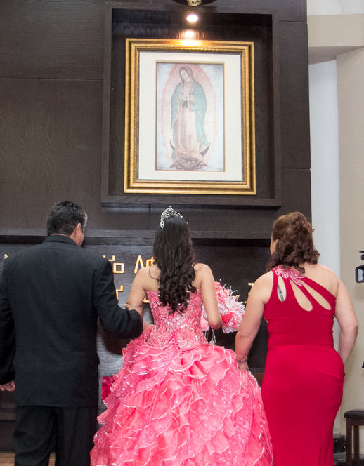 Alfred&#39;s PhotoLive - 6700