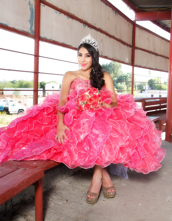 Alfred&#39;s PhotoLive - 6763