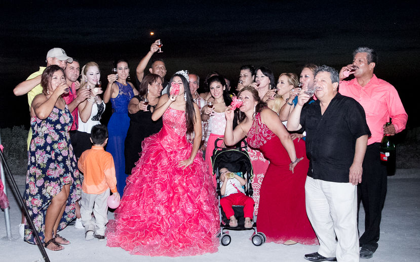 Alfred&#39;s PhotoLive - 7346