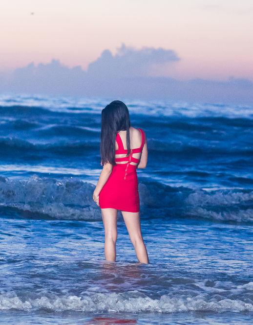 Alfred&#39;s PhotoLive - 7512