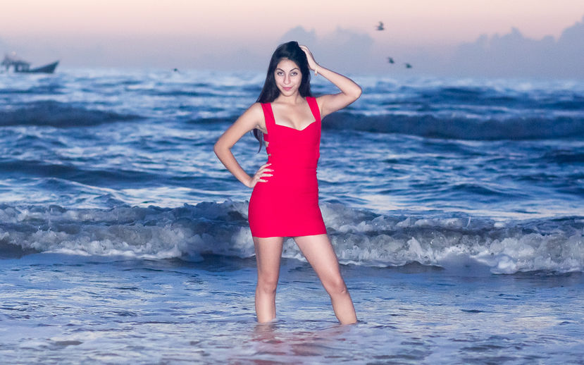 Alfred&#39;s PhotoLive - 7518