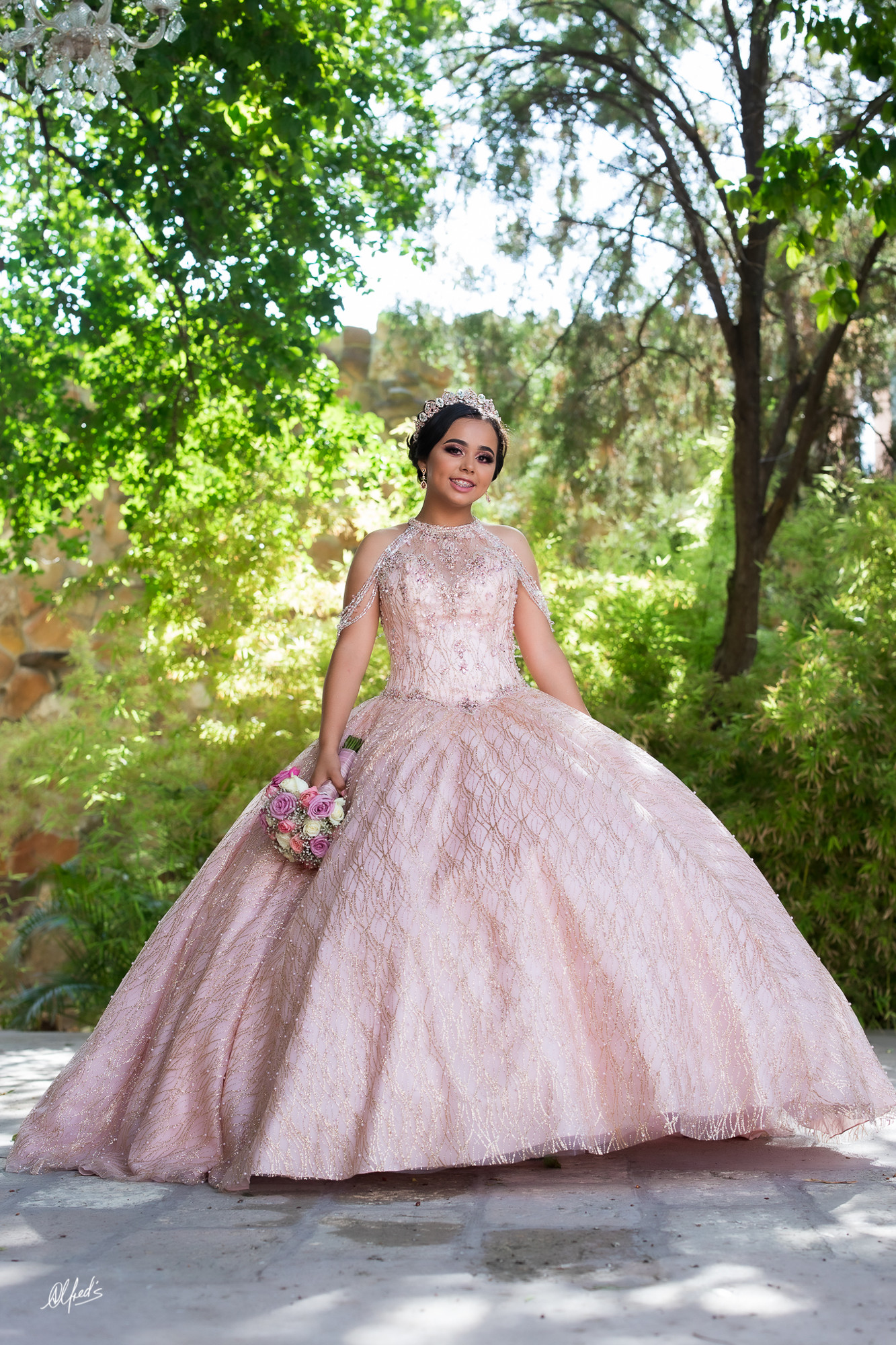 Alfred&#39;s PhotoLive - 2381