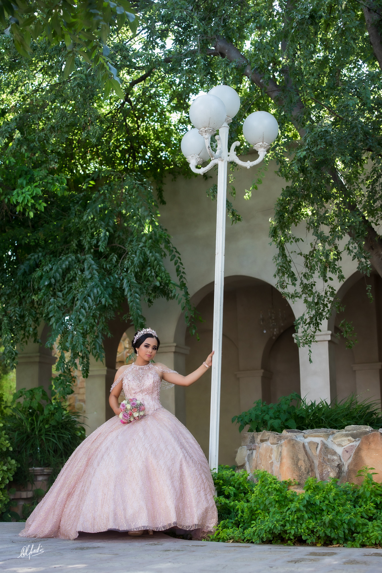 Alfred&#39;s PhotoLive - 2483