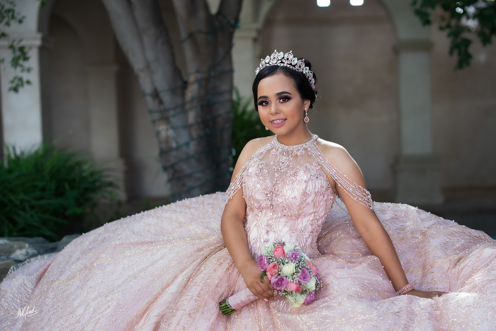 Alfred&#39;s PhotoLive - 2500