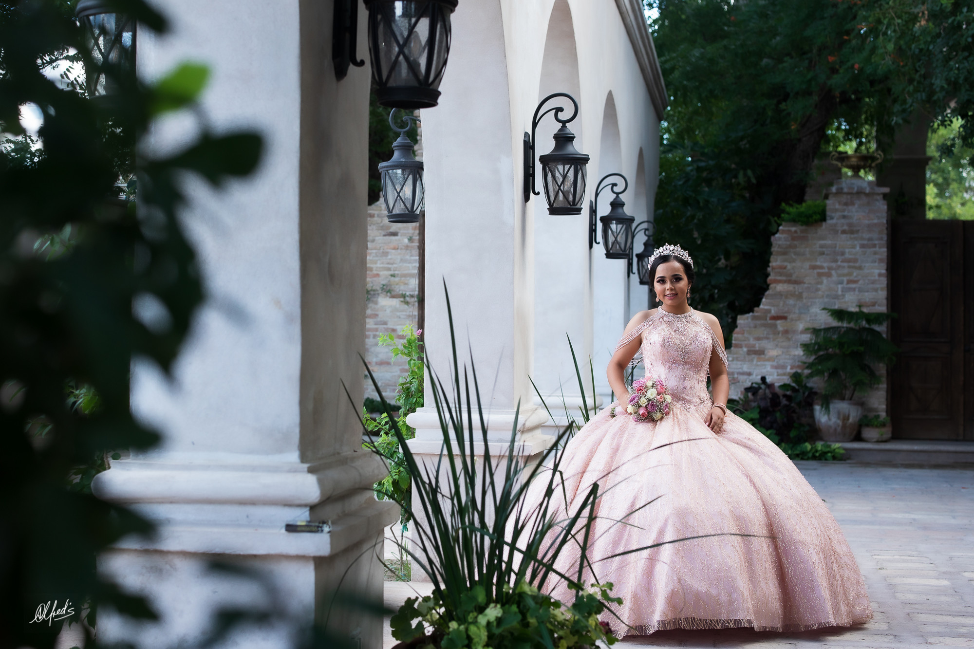 Alfred&#39;s PhotoLive - 2608