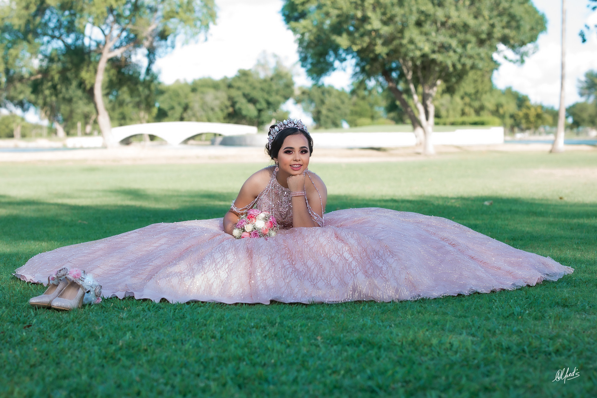 Alfred&#39;s PhotoLive - 2661