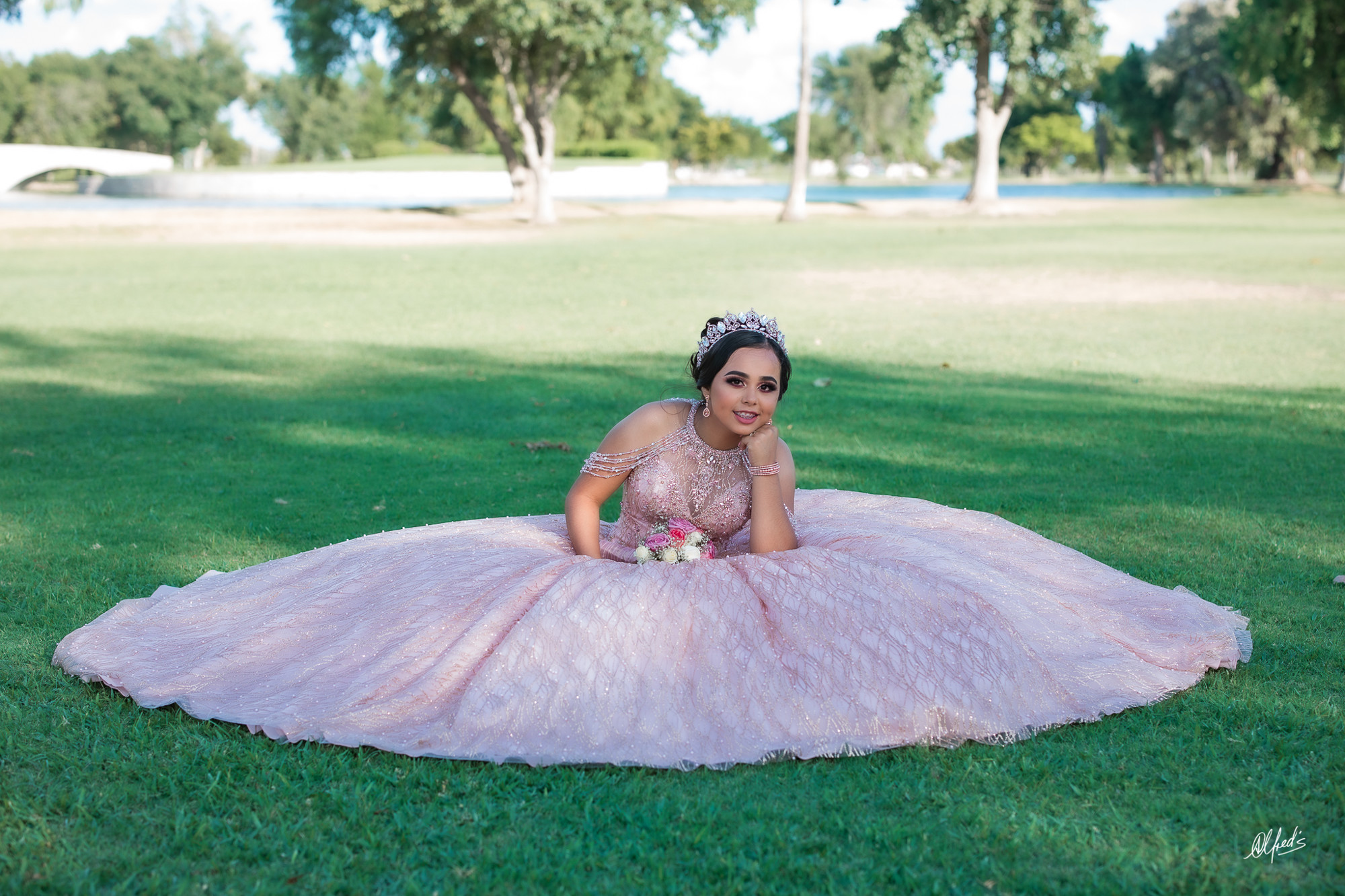 Alfred&#39;s PhotoLive - 2669