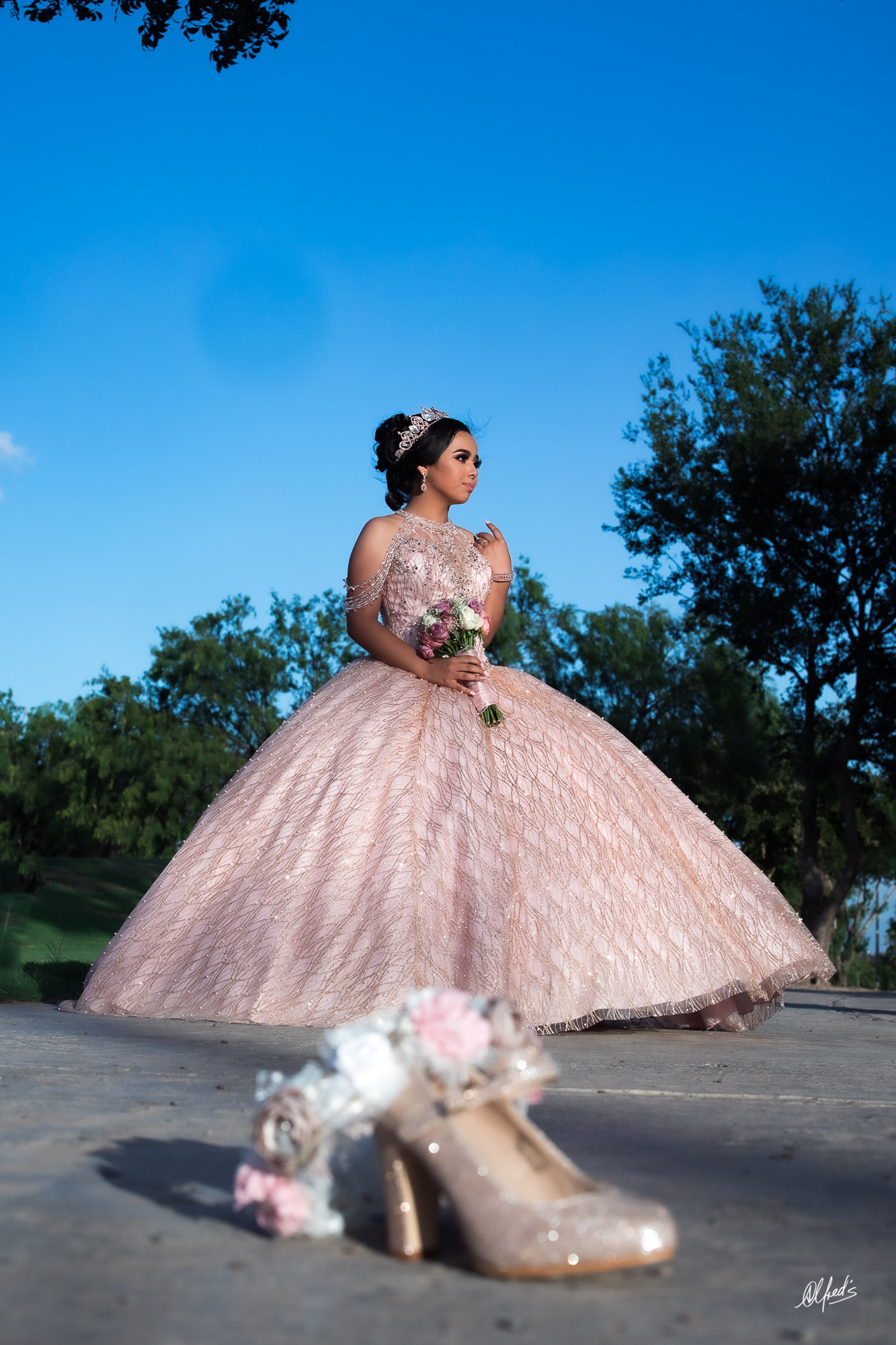 Alfred&#39;s PhotoLive - 3075