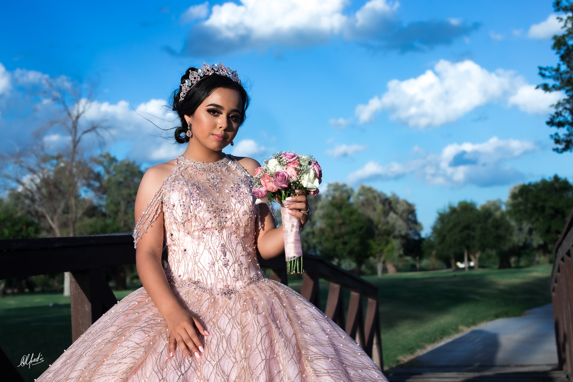 Alfred&#39;s PhotoLive - 3200