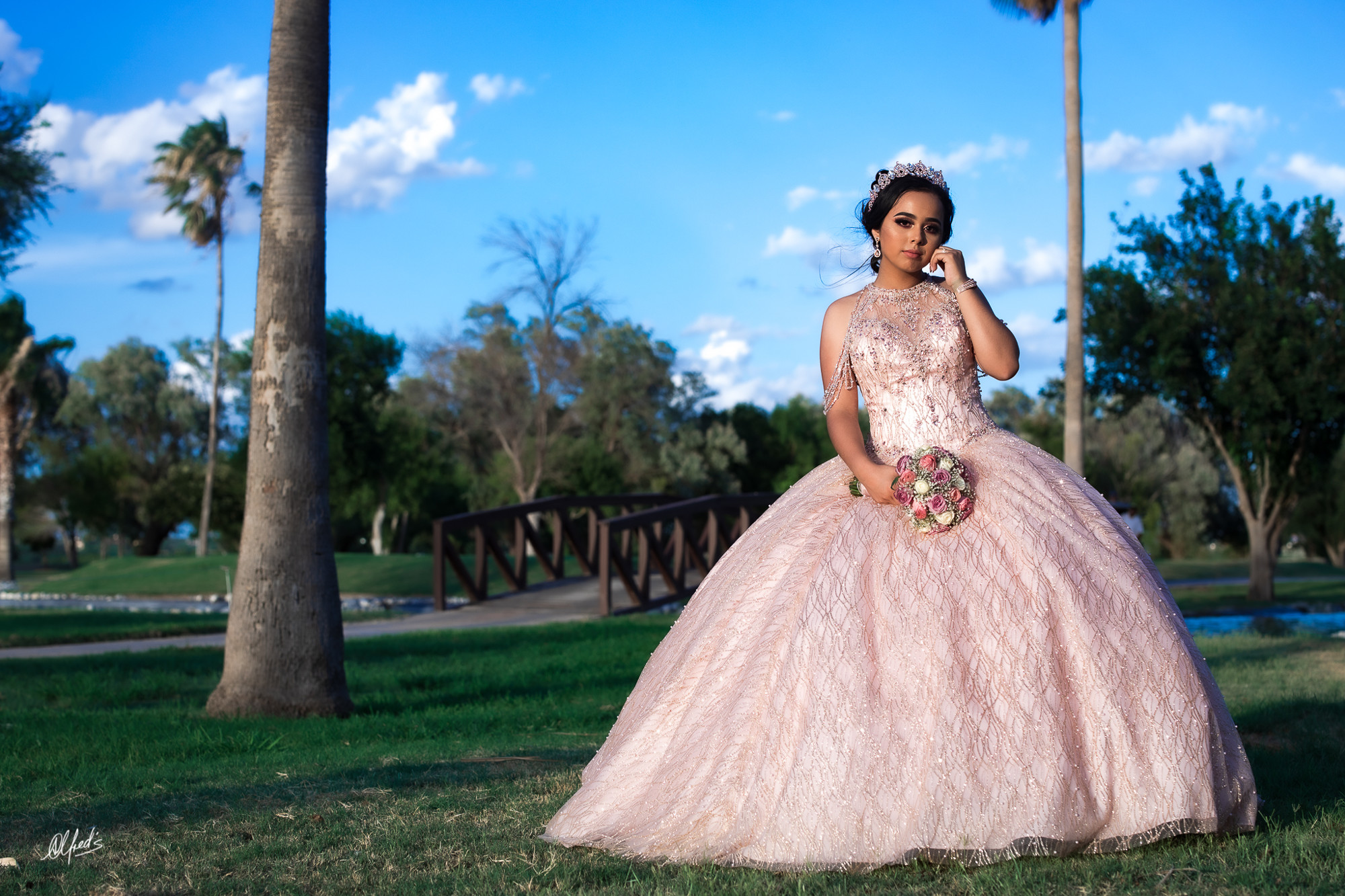 Alfred&#39;s PhotoLive - 3262