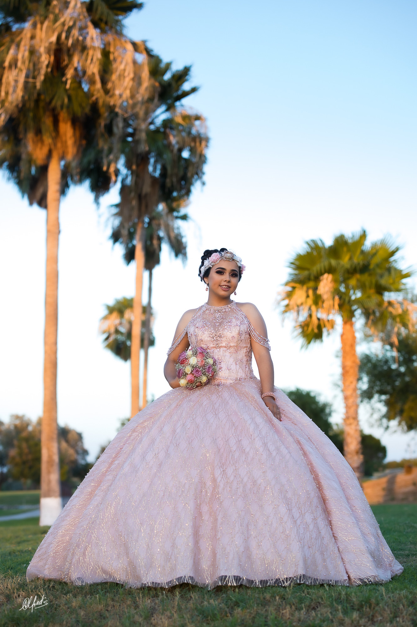 Alfred&#39;s PhotoLive - 3417