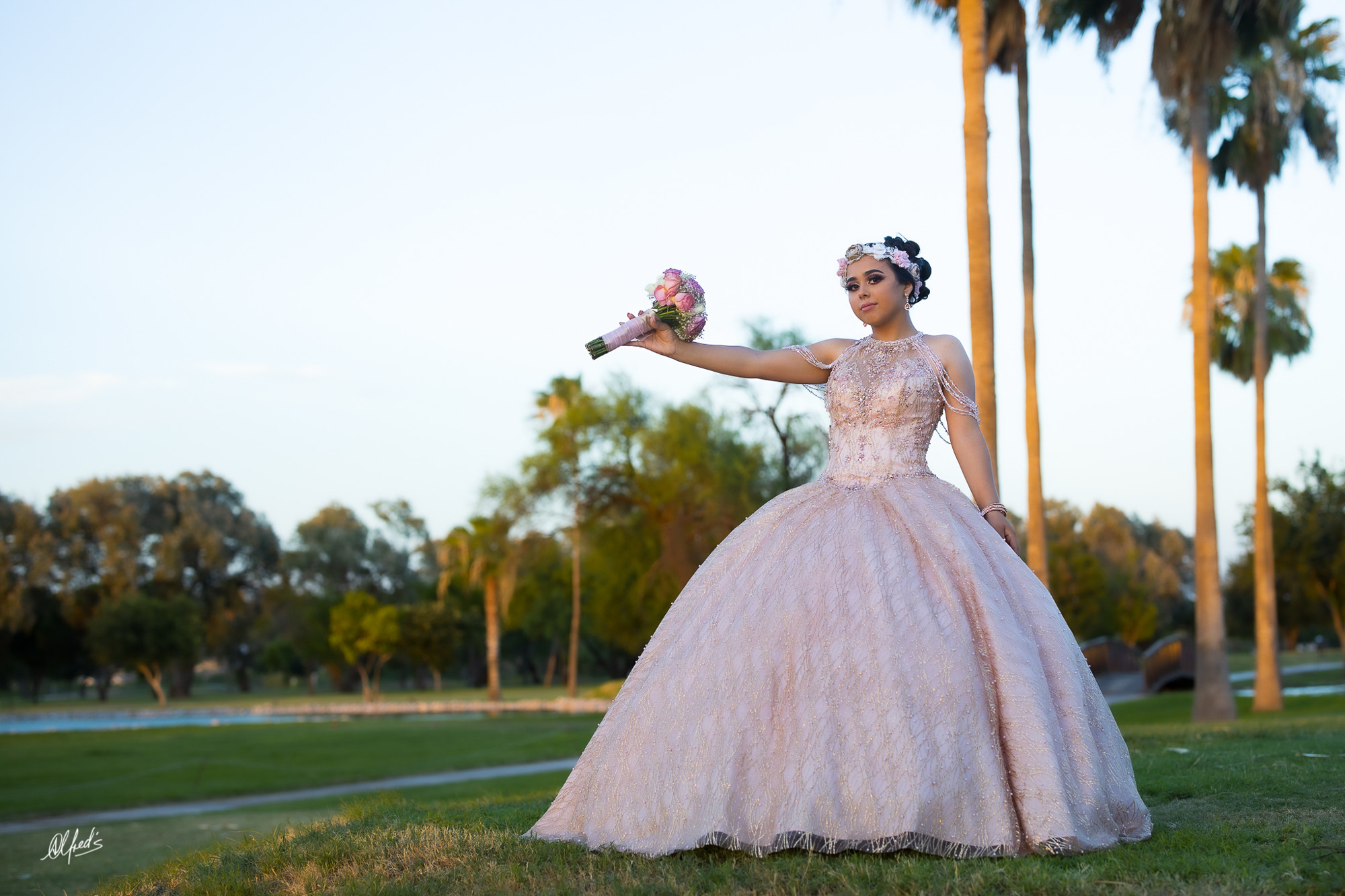 Alfred&#39;s PhotoLive - 3436