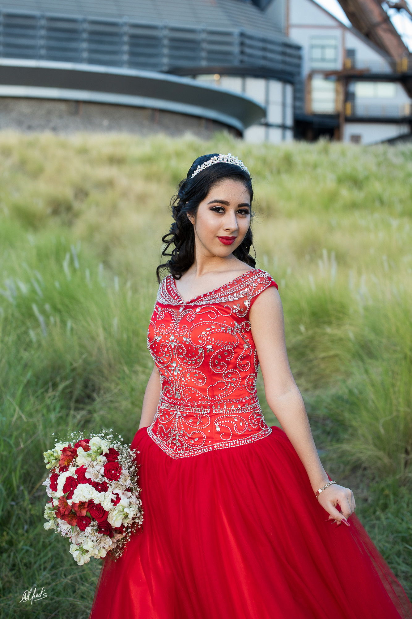 Alfred&#39;s PhotoLive - 0019