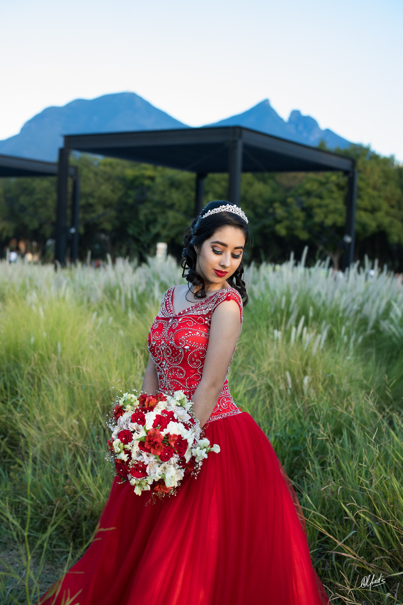 Alfred&#39;s PhotoLive - 0047