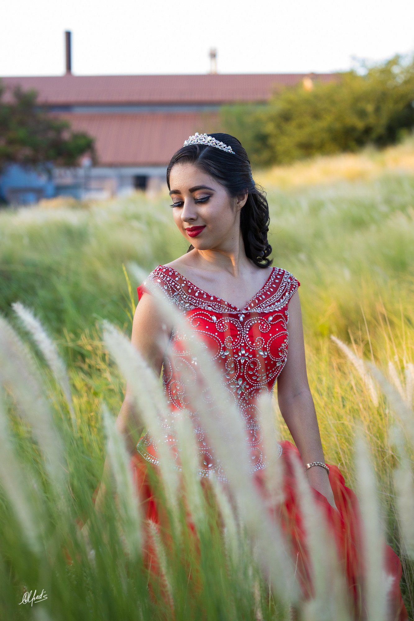 Alfred&#39;s PhotoLive - 0106