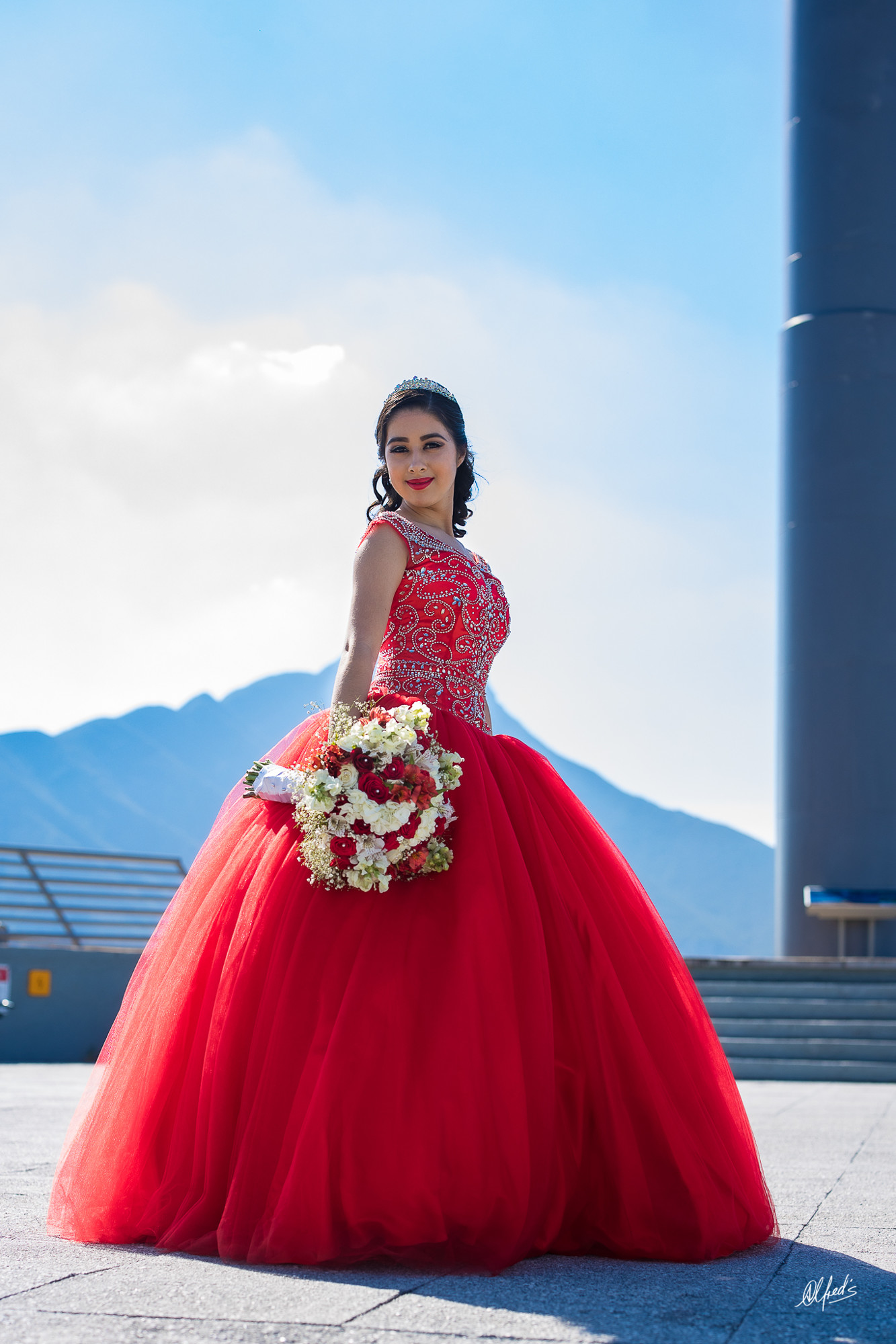 Alfred&#39;s PhotoLive - 9247