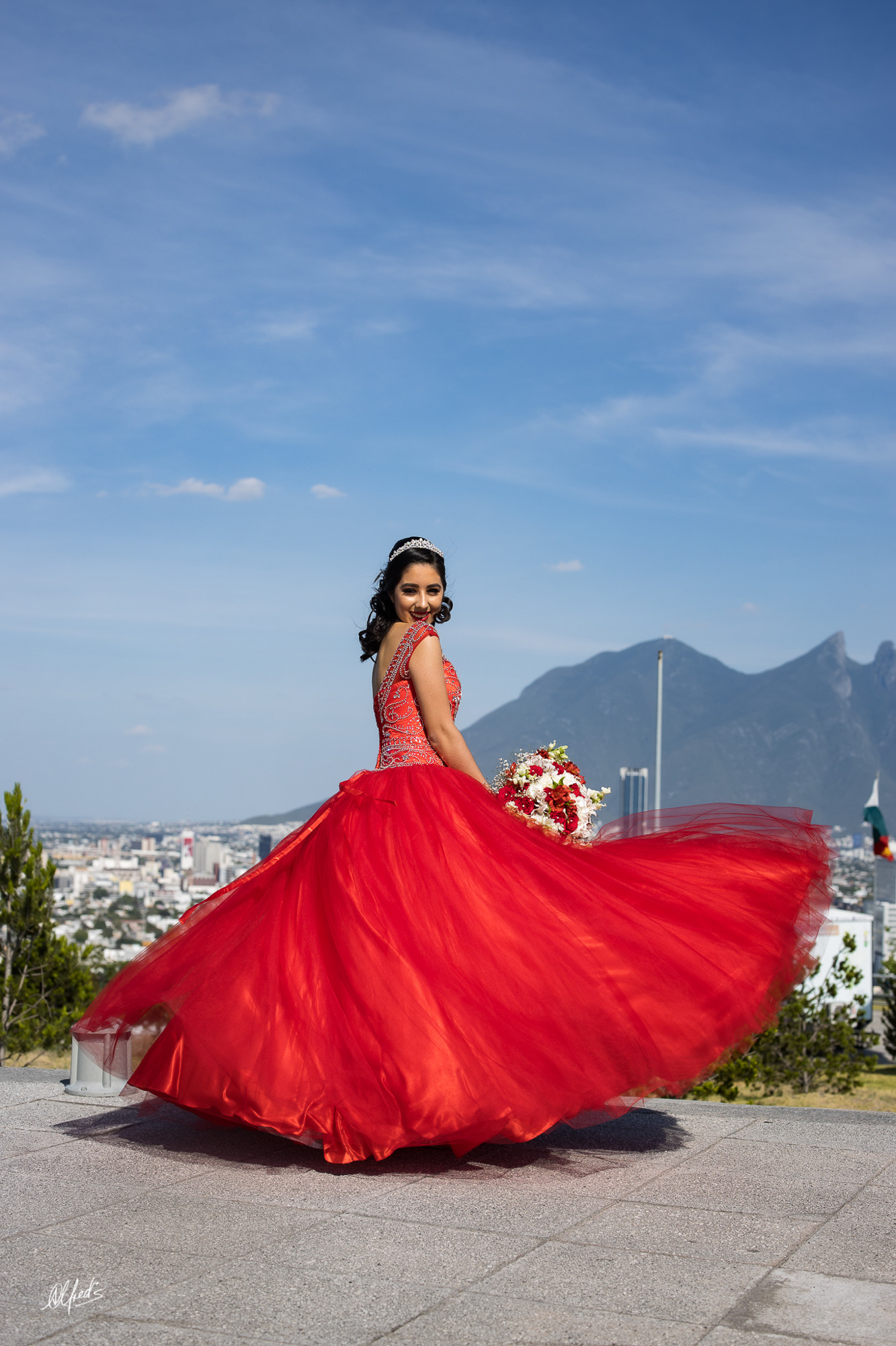 Alfred&#39;s PhotoLive - 9264