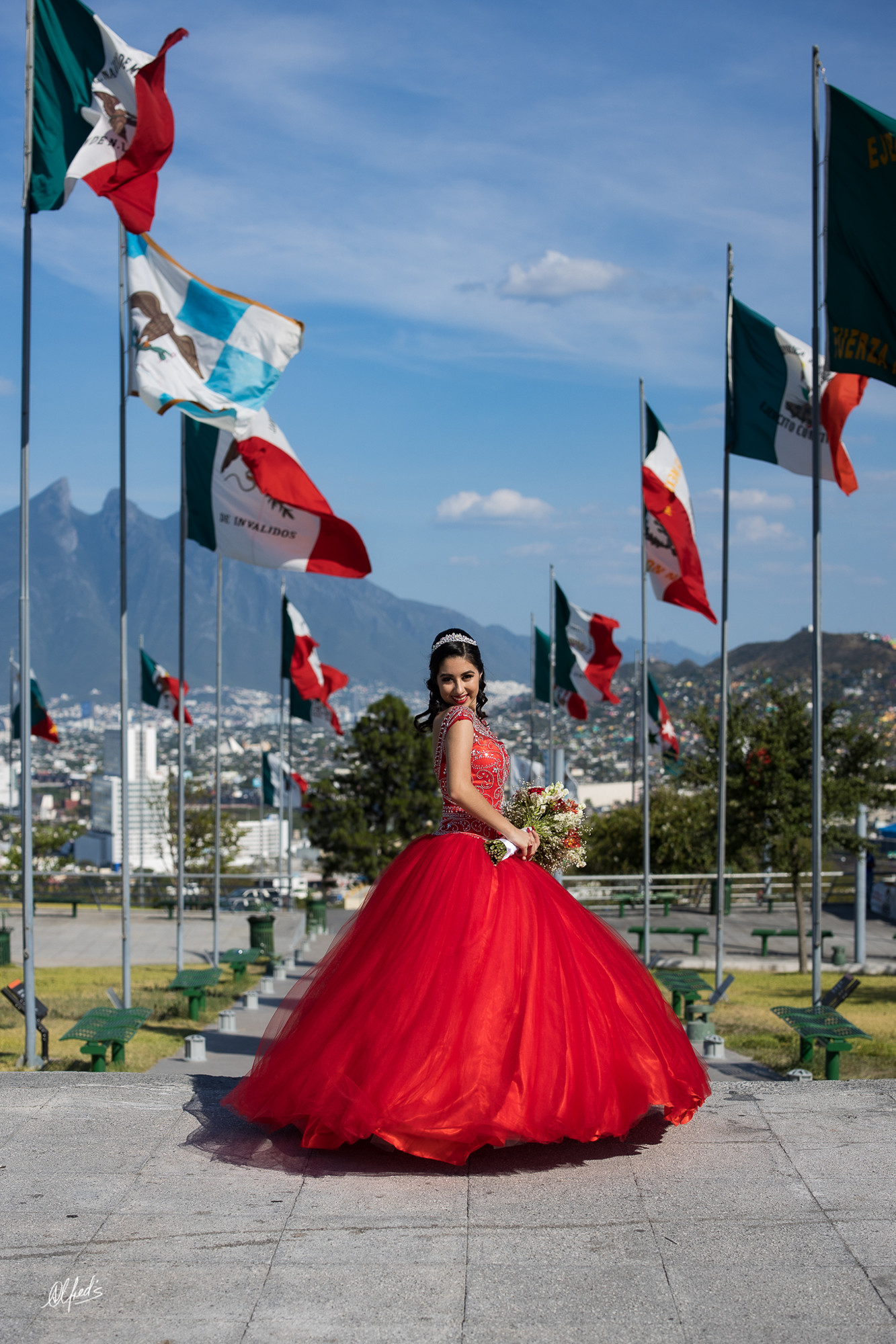 Alfred&#39;s PhotoLive - 9501