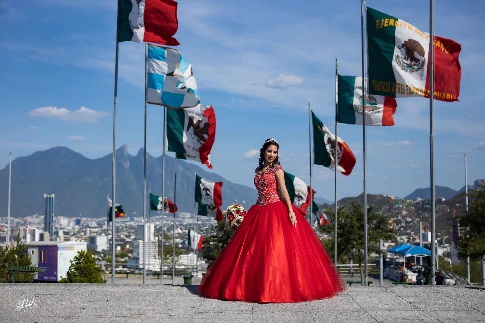 Alfred&#39;s PhotoLive - 9513