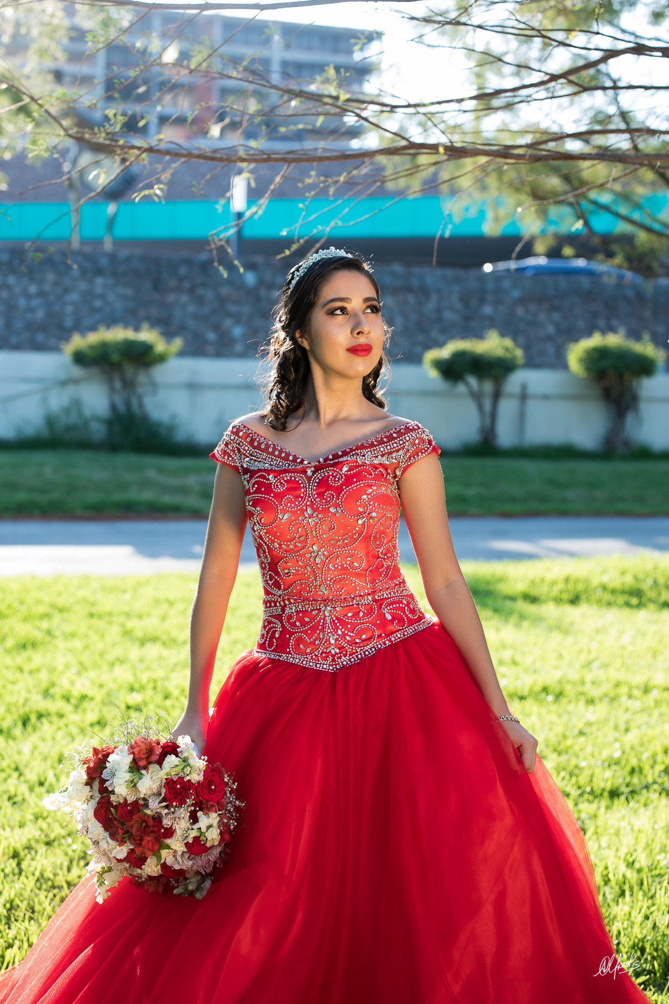 Alfred&#39;s PhotoLive - 9670