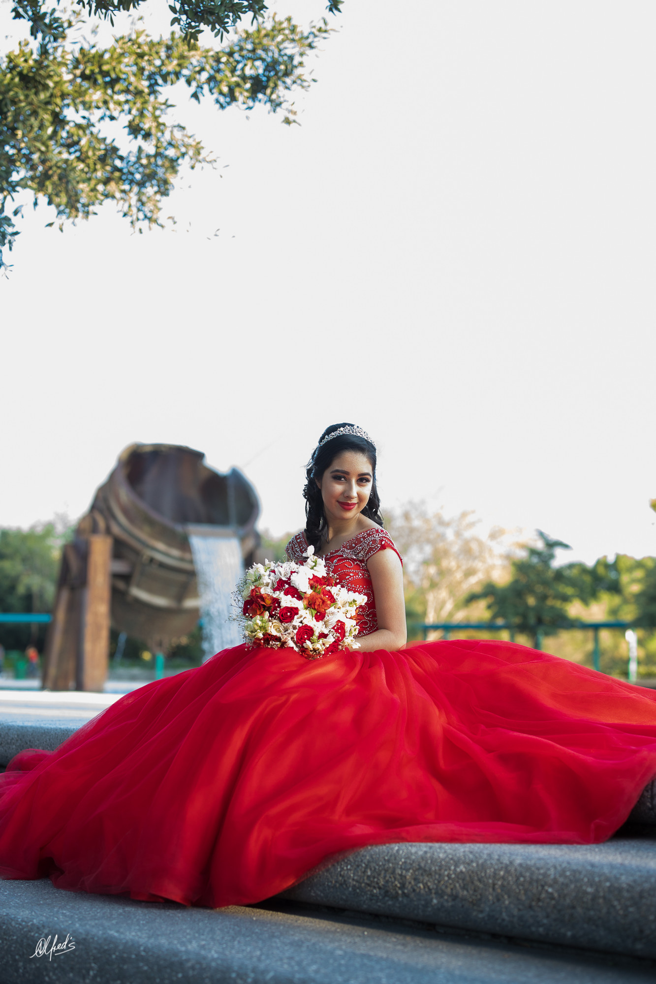 Alfred&#39;s PhotoLive - 9904