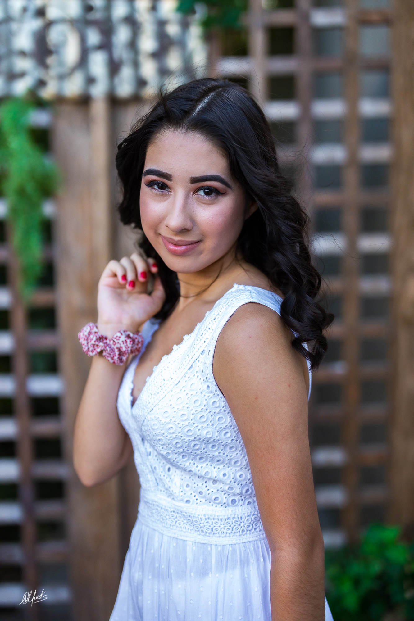 Alfred&#39;s PhotoLive - 3243