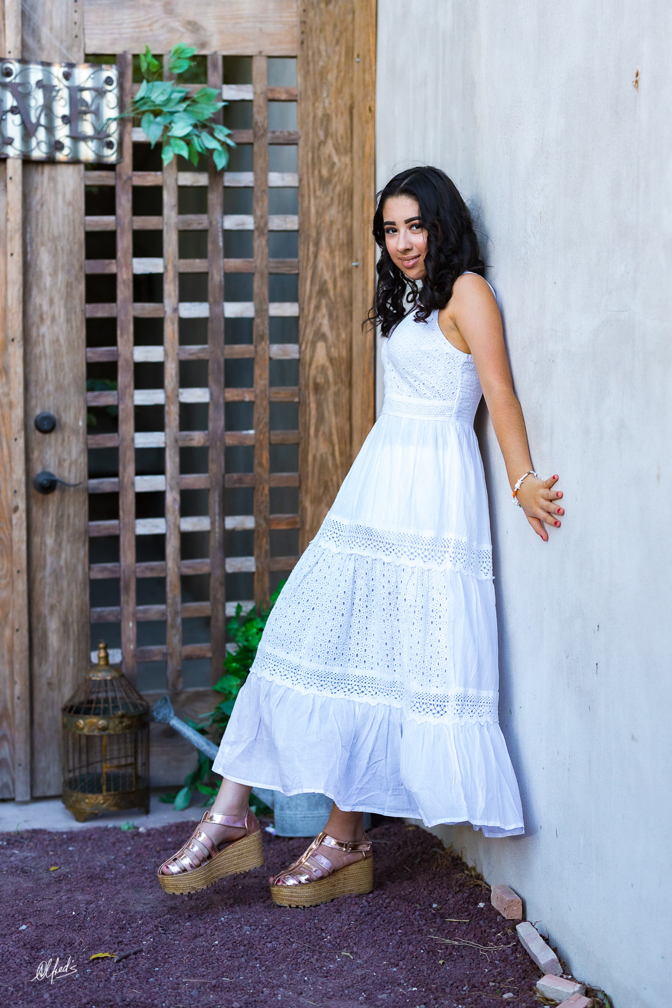 Alfred&#39;s PhotoLive - 3290